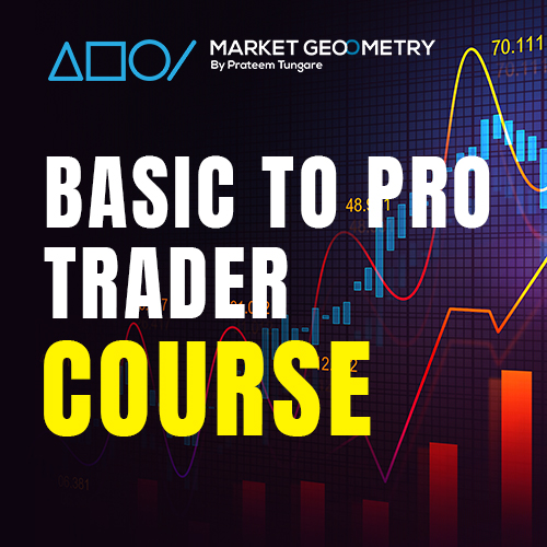 BASIC TO PRO TRADER COURSE
